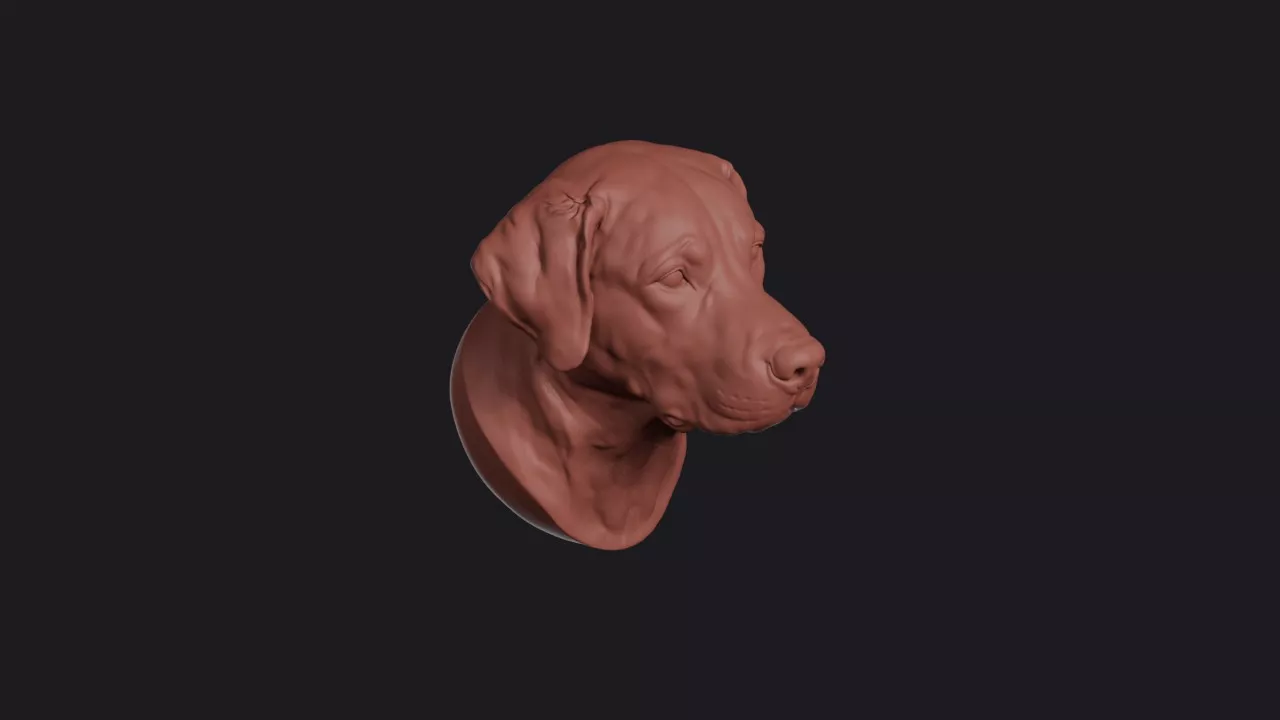Labrador Retriever Head Bust Wall Mount 3D print model