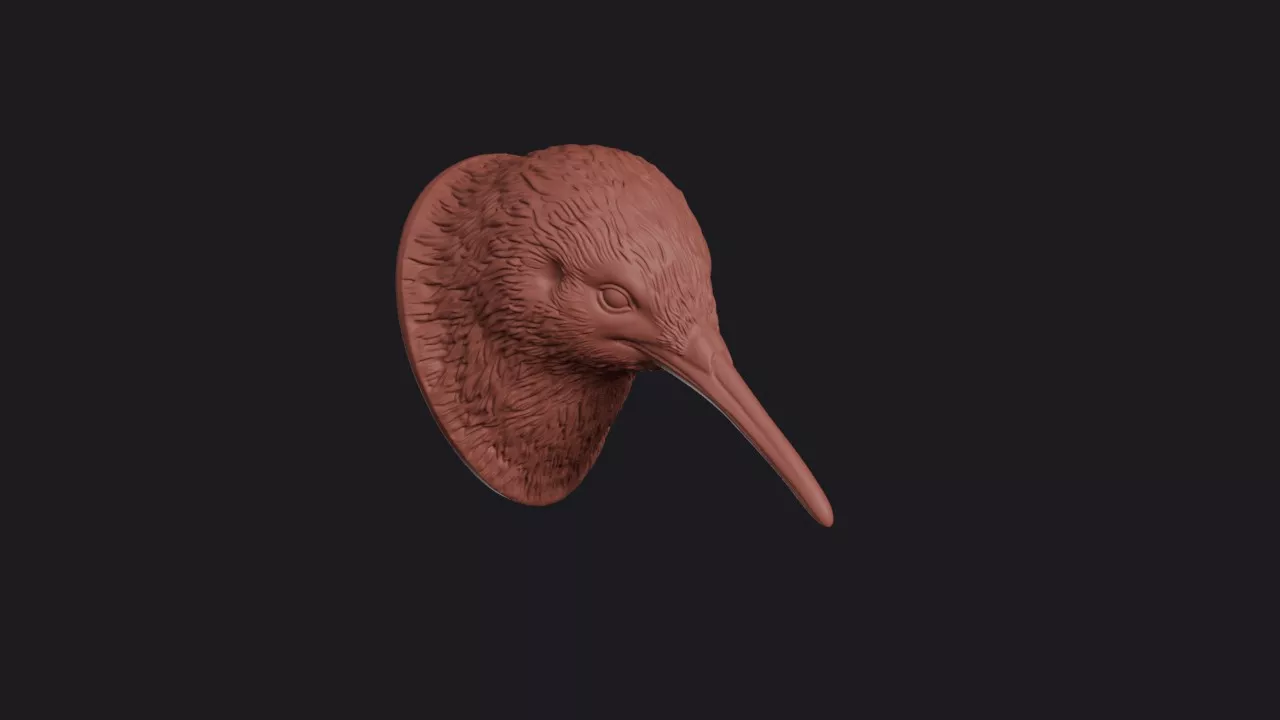 Kiwi Bird Head Bust Wall Mount 3D print model