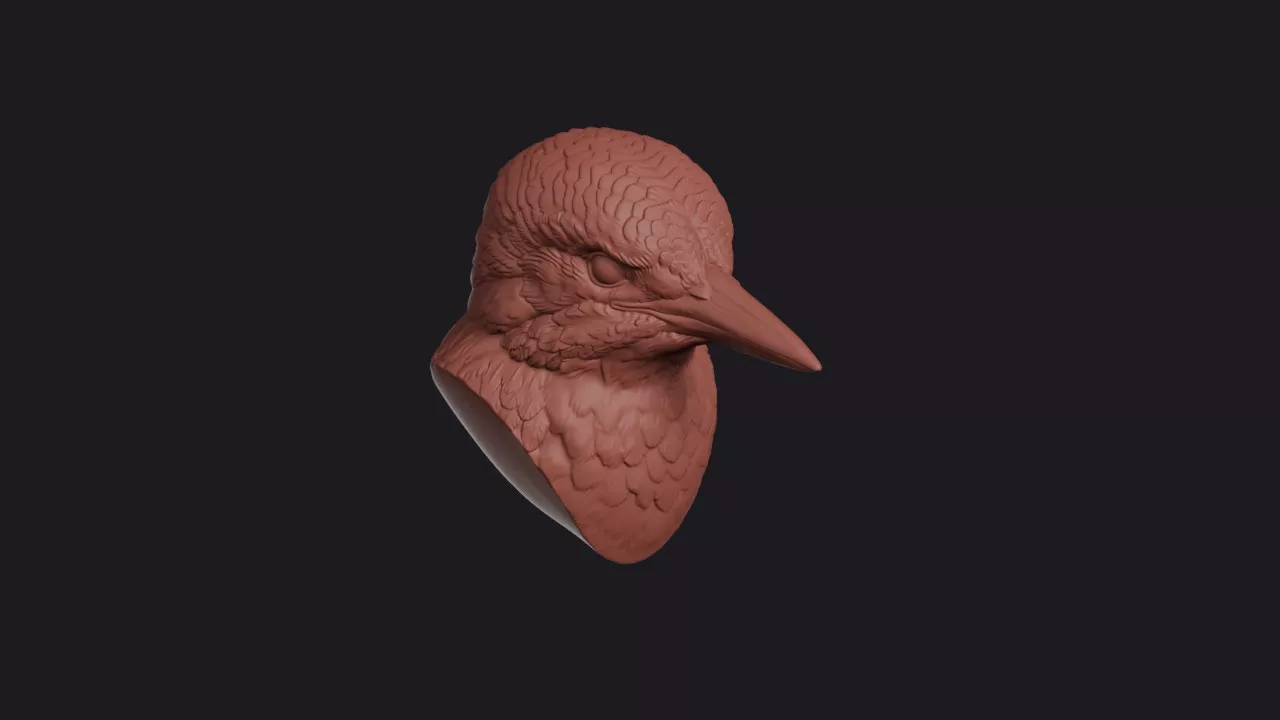 Kingfisher Head Bust Wall Mount 3D print model
