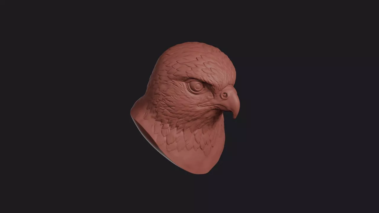 Kestrel Head Bust Wall Mount 3D print model