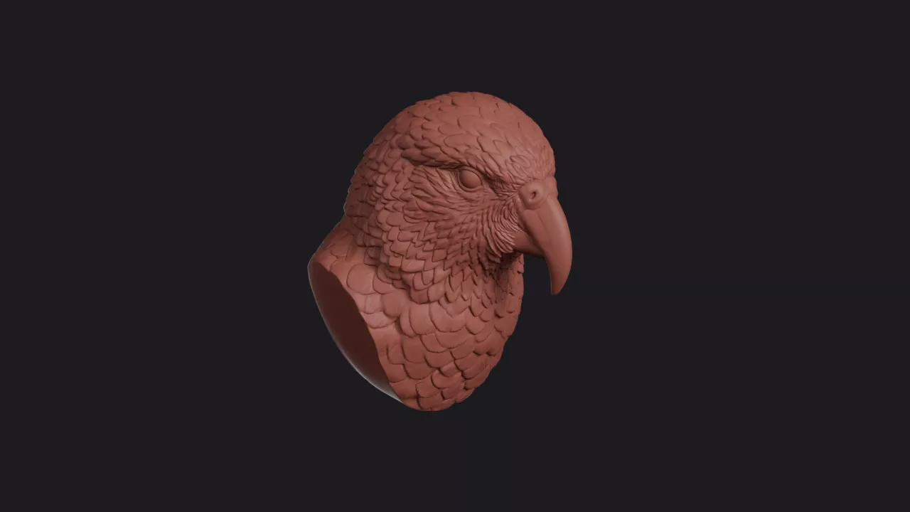Kea Parrot Head Bust Wall Mount 3D print model