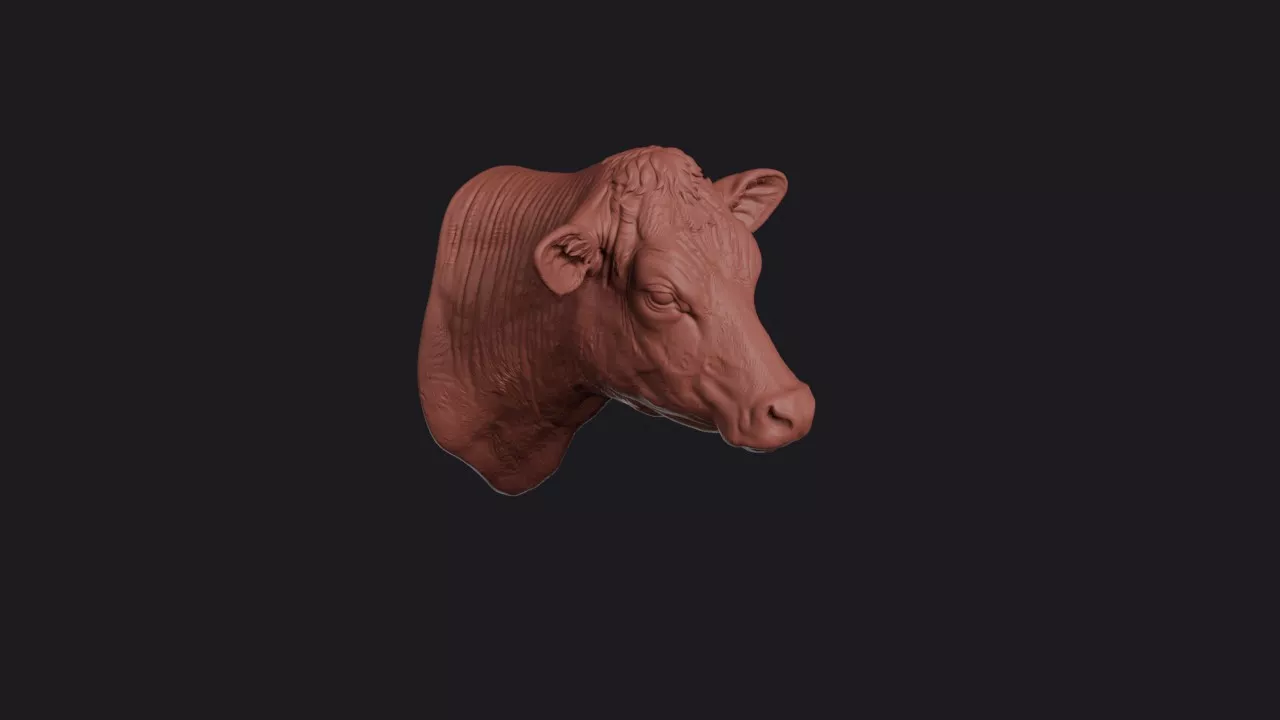 Jersey Cow Head Bust Wall Mount 3D print model