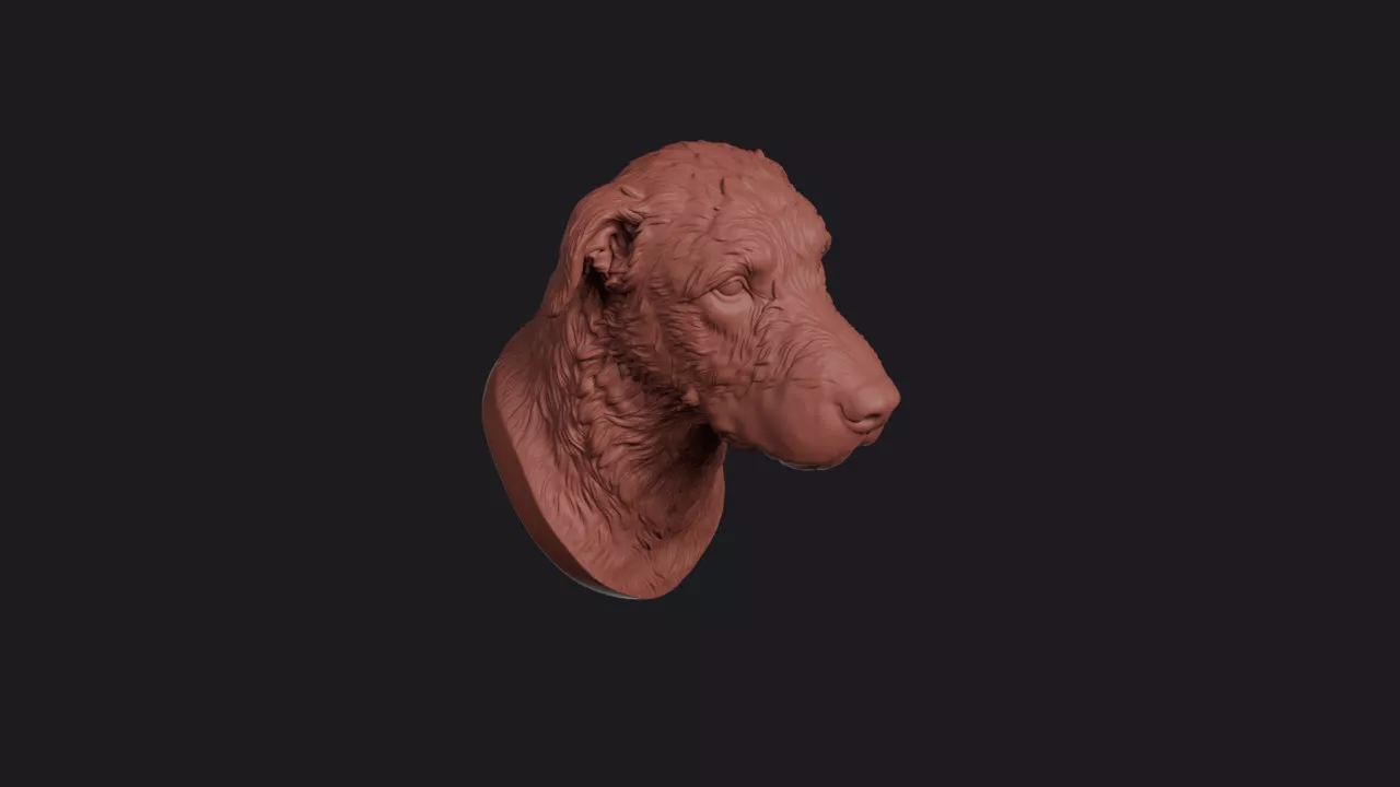 Irish Wolfhound Head Bust Wall Mount 3D print model