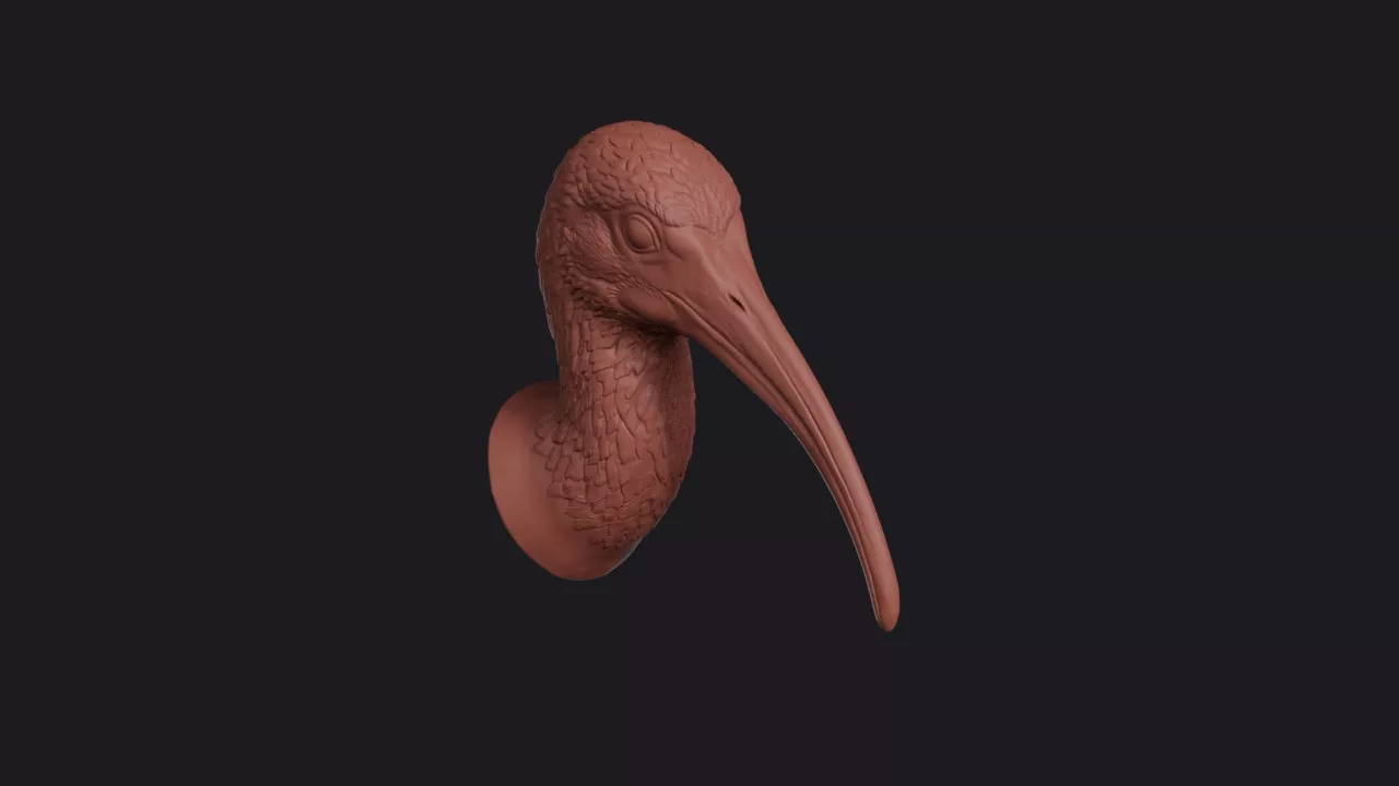 Ibis Head Bust Wall Mount 3D print model
