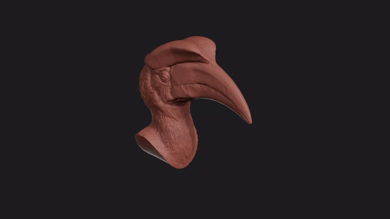 Hornbill Head Bust Wall Mount 3D print model