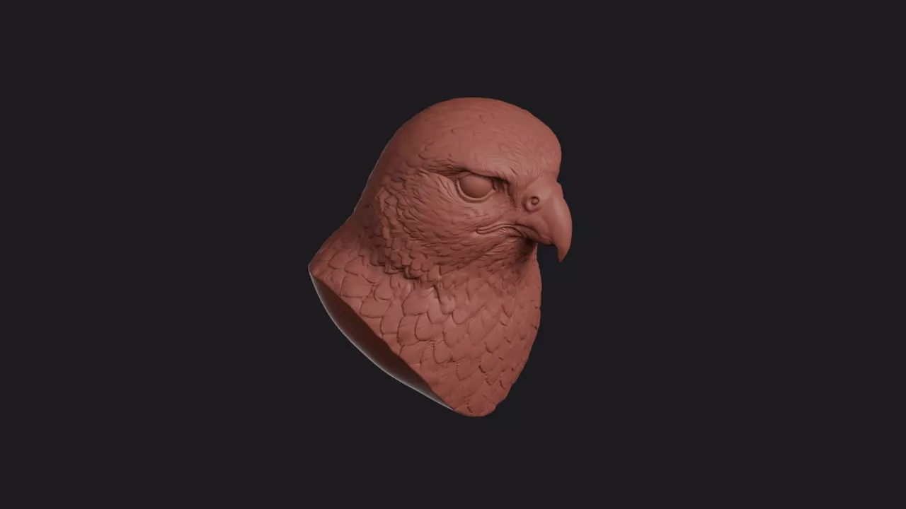 Gyrfalcon Head Bust Wall Mount 3D print model