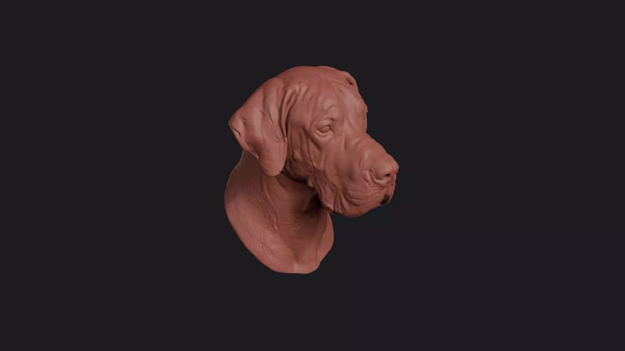 Great Dane Head Bust Wall Mount 3D print model