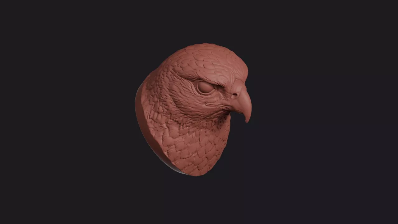 Goshawk Head Bust Wall Mount 3D print model