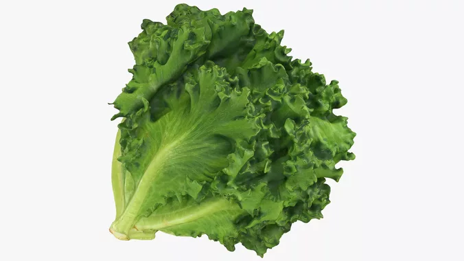 Frillice Iceberg Lettuce