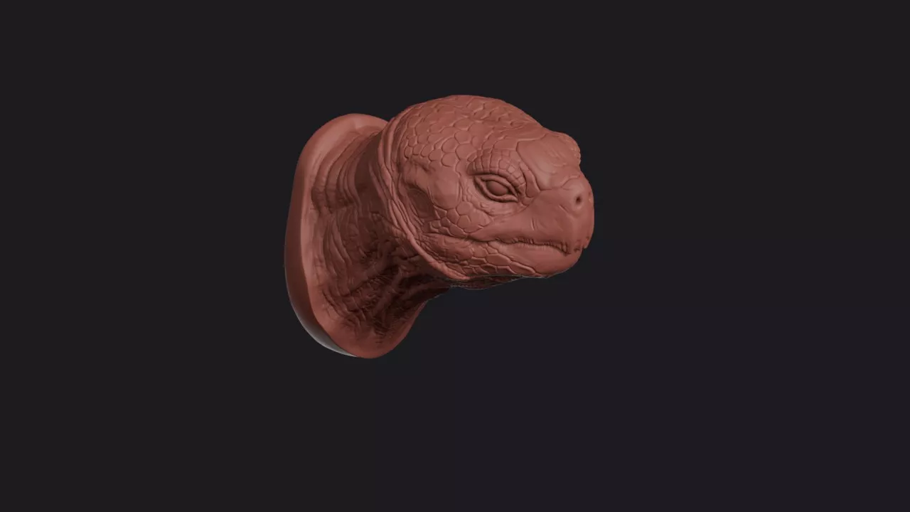 Galapagos Tortoise Head Bust Wall Mount 3D print model