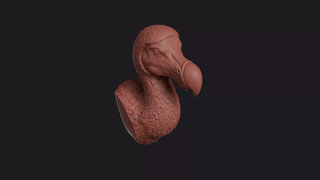 Dodo Bird Head Bust Wall Mount 3D print model