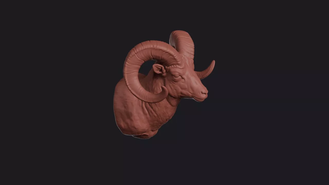 Dall Sheep Head Bust Wall Mount 3D print model