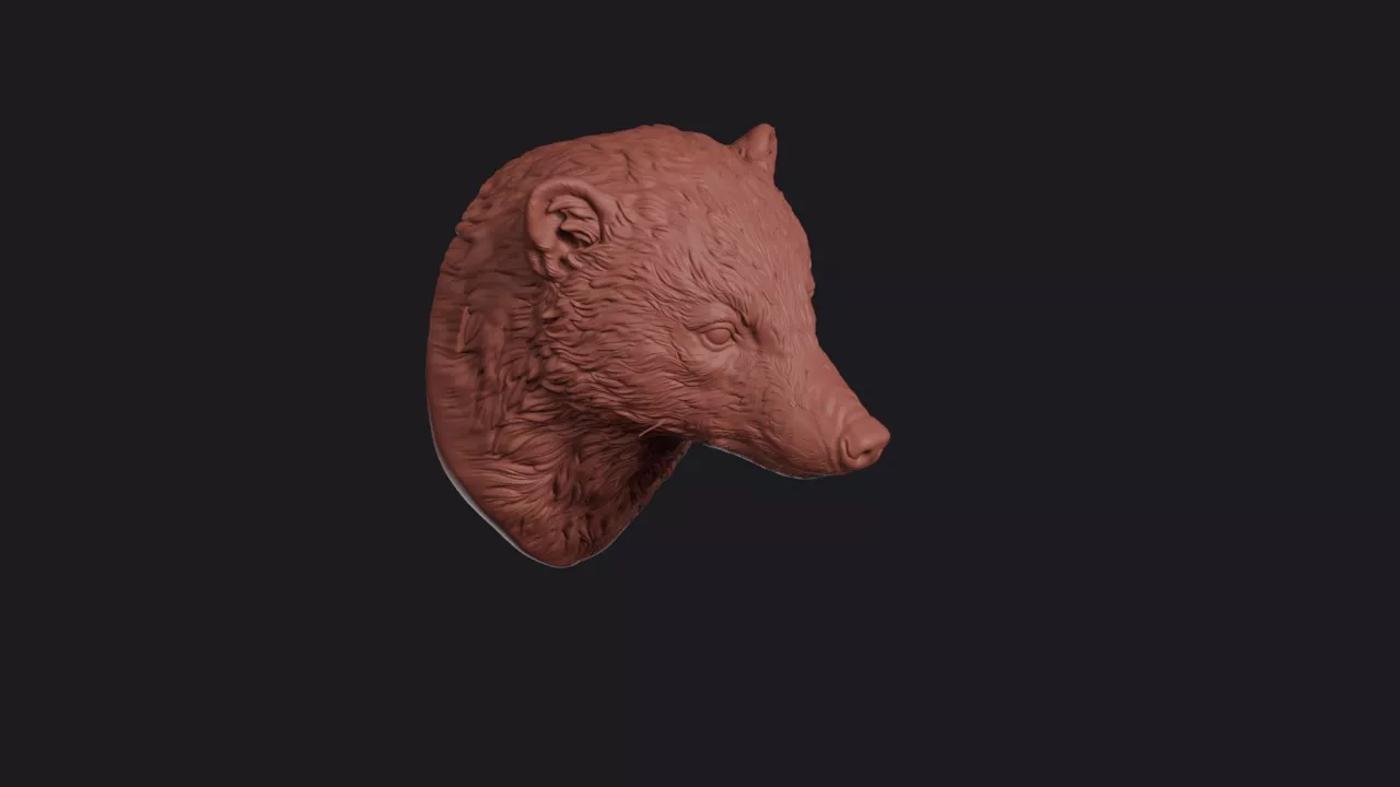 Coati Head Bust Wall Mount 3D print model