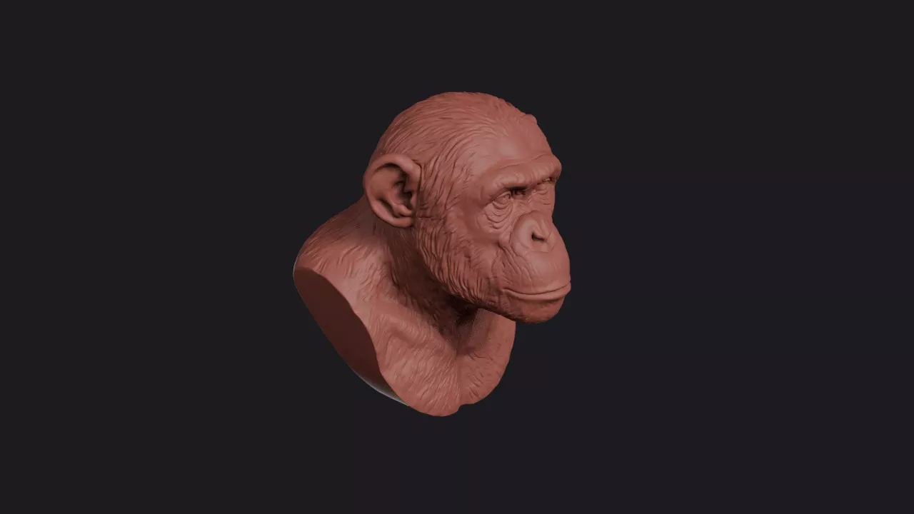 Chimpanzee Head Bust Wall Mount 3D print model