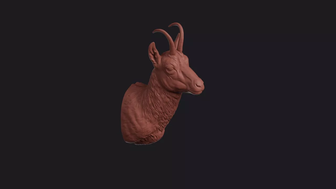 Chamois Head Bust Wall Mount 3D print model
