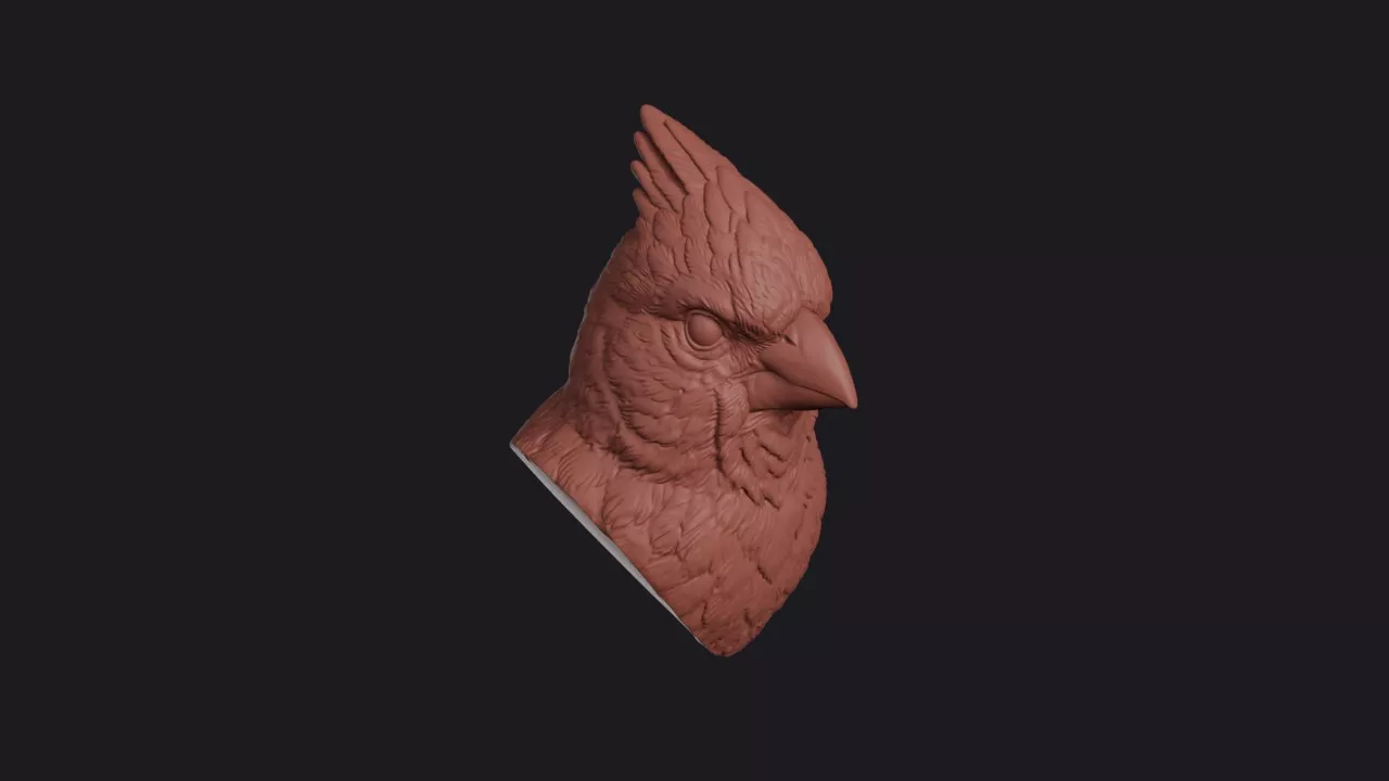 Cardinal Bird Head Bust Wall Mount 3D print model