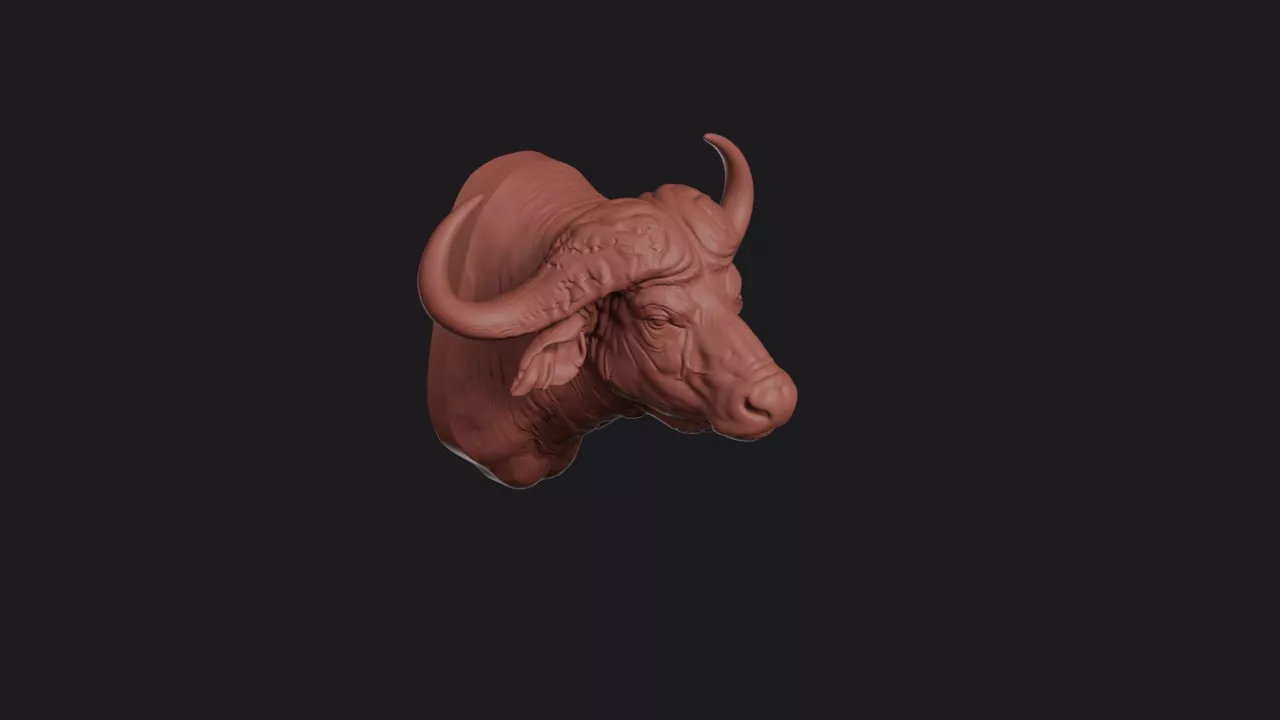 Cape Buffalo Head Bust Wall Mount 3D print model