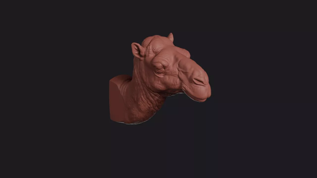 Camel Head Bust Wall Mount 3D print model