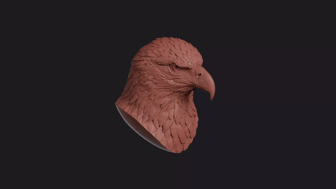White Tailed Eagle Head Bust Wall Mount 3D print model
