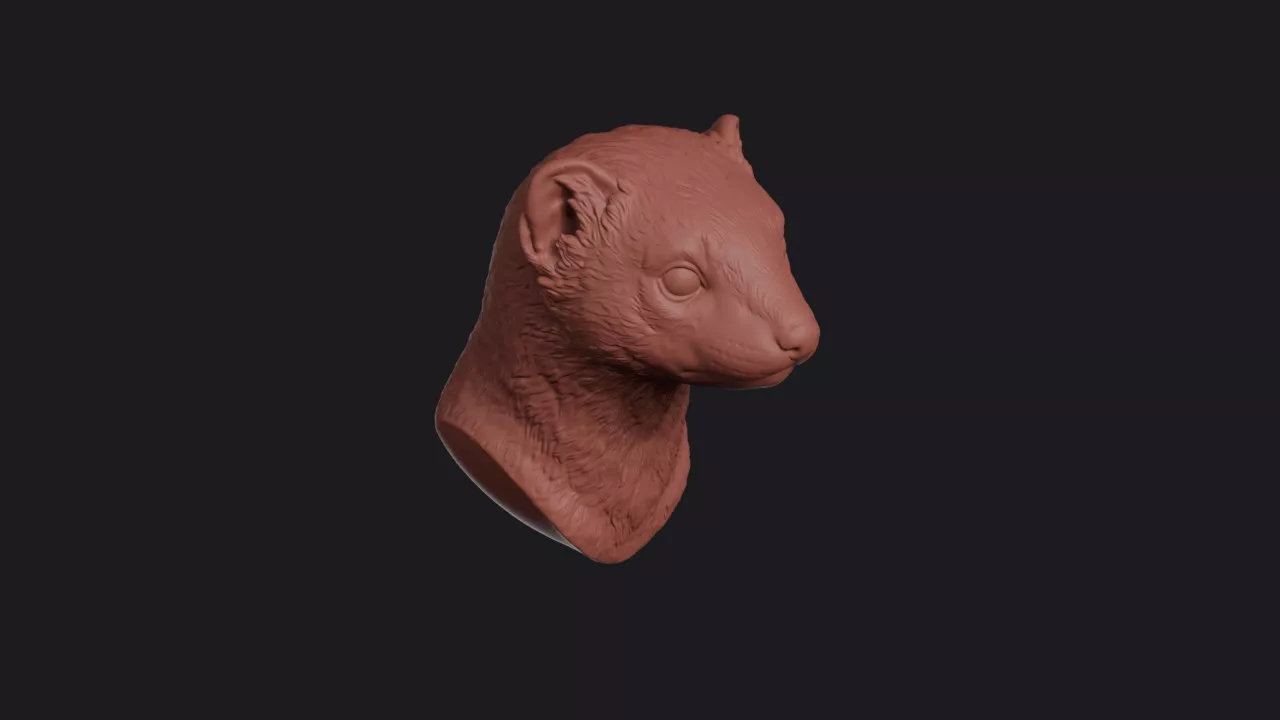 Weasel Head Bust Wall Mount 3D print model