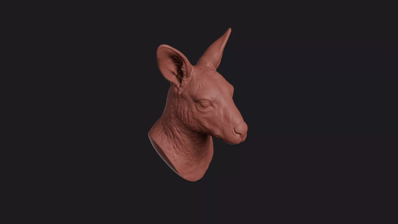 Wallaby Head Bust Wall Mount 3D print model