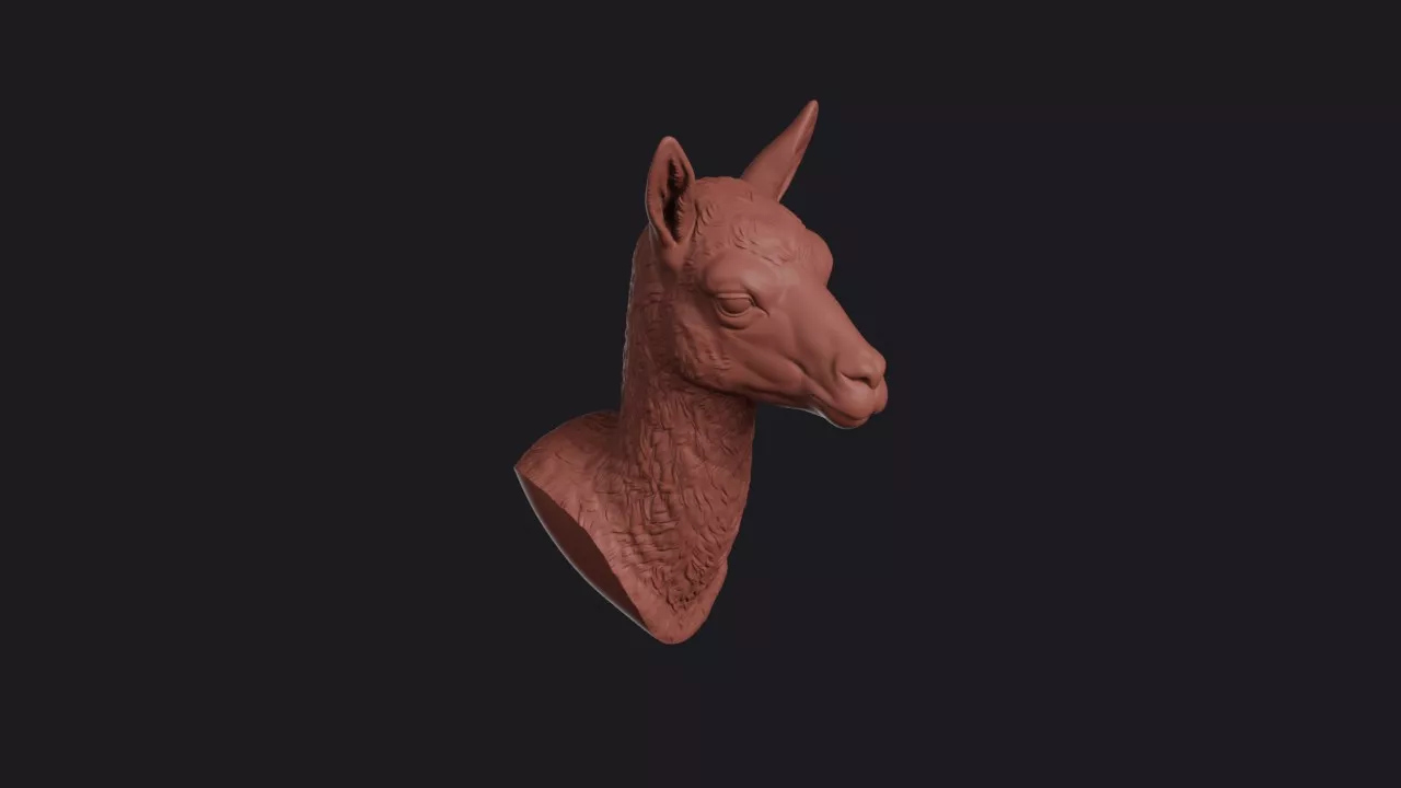 Vicuna Head Bust Wall Mount 3D print model