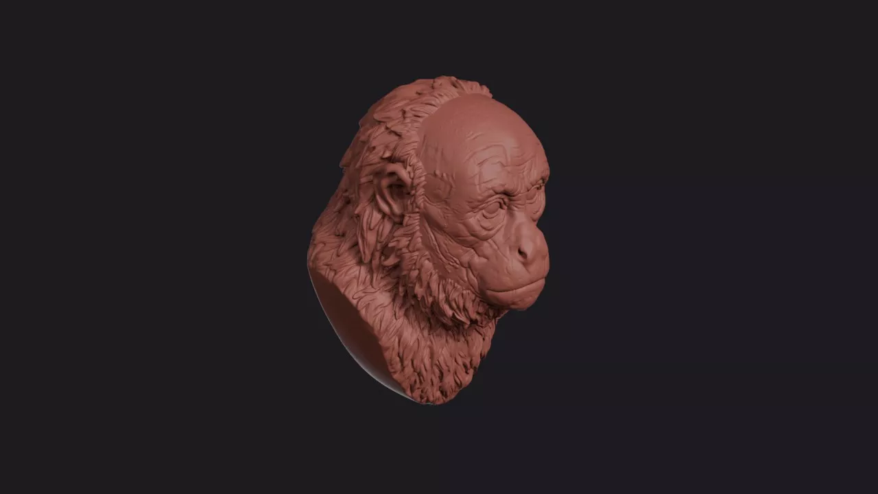 Uakari Monkey Head Bust Wall Mount 3D print model