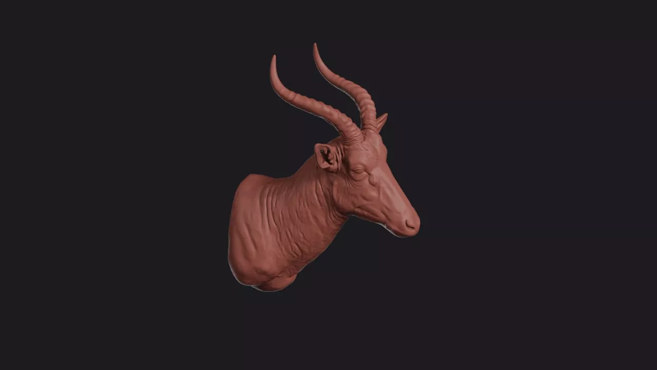 Tsessebe Head Bust Wall Mount 3D print model