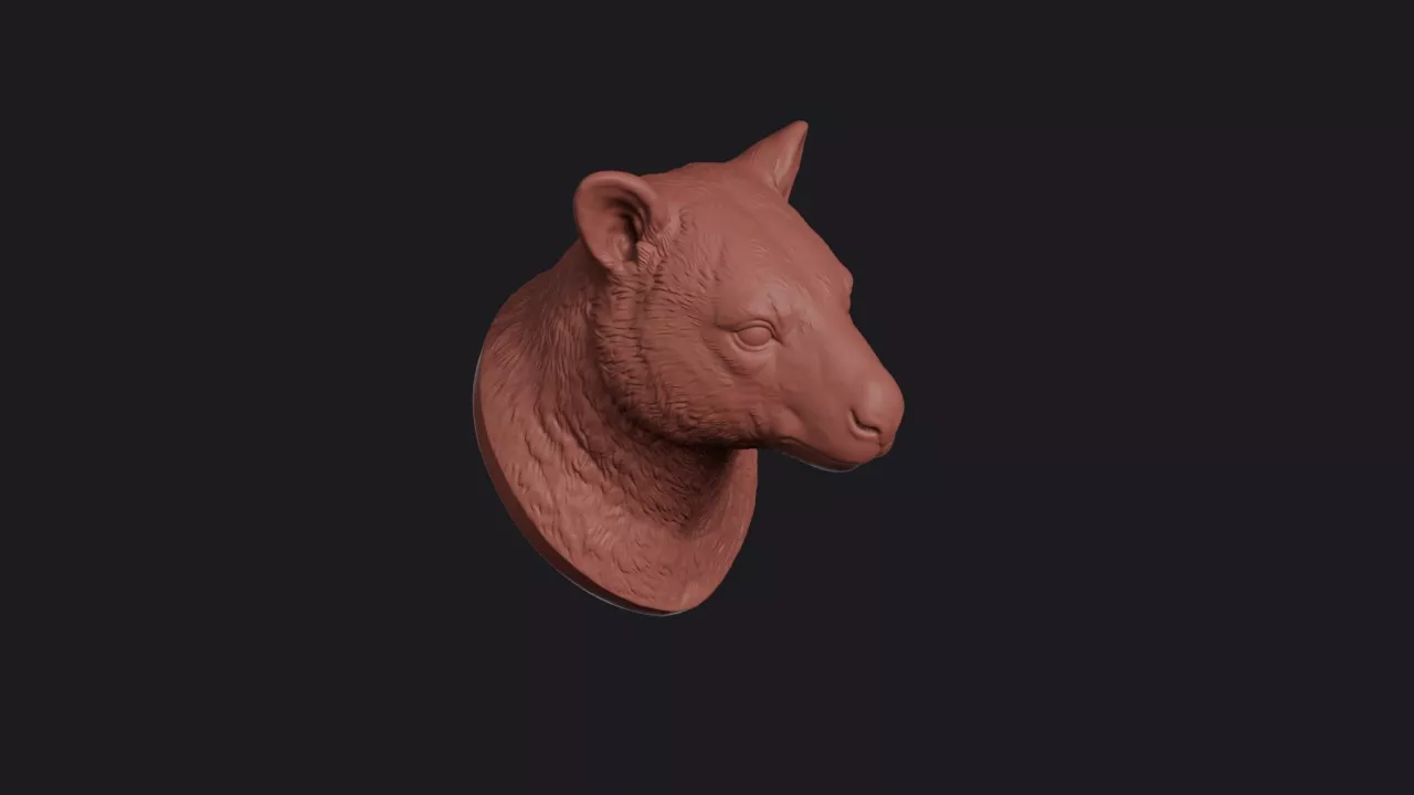 Tree Kangaroo Head Bust Wall Mount 3D print model
