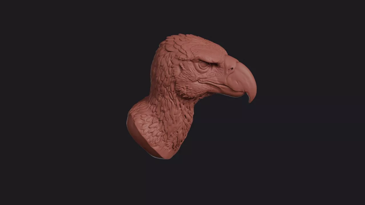 Terror Bird Head Bust Wall Mount 3D print model