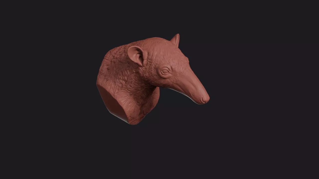 Tamandua Anteater Head Bust Wall Mount 3D print model