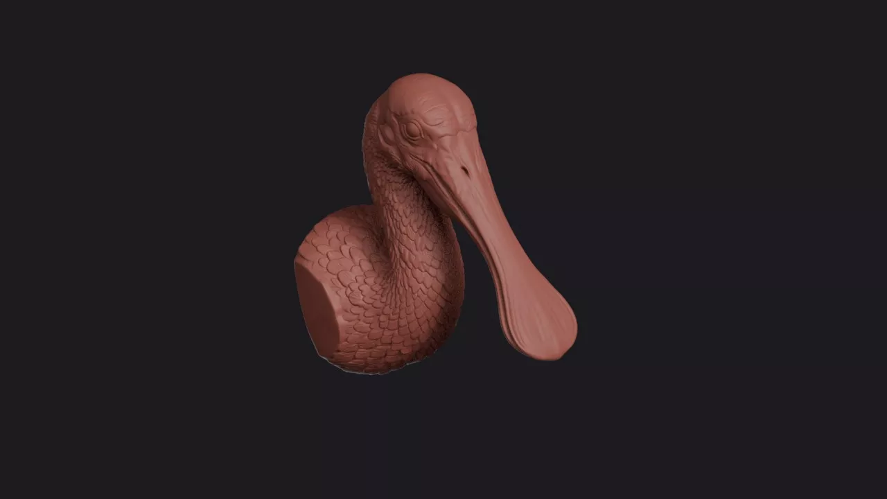 Spoonbill Head Bust Wall Mount 3D print model