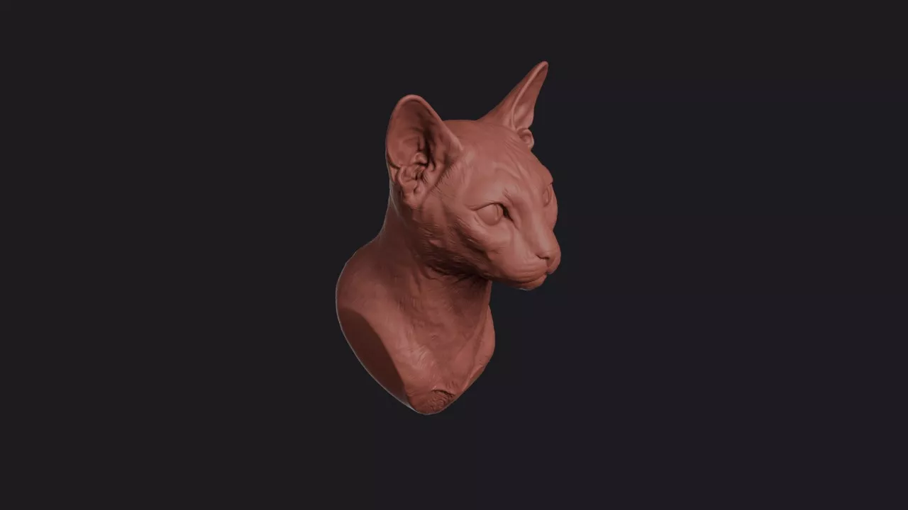 Siamese Cat Head Bust Wall Mount 3D print model