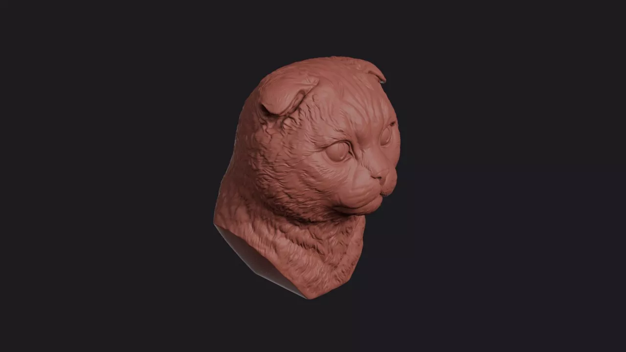 Scottish Fold Cat Head Bust Wall Mount 3D print model