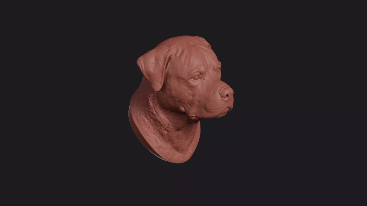 Rottweiler Head Bust Wall Mount 3D print model