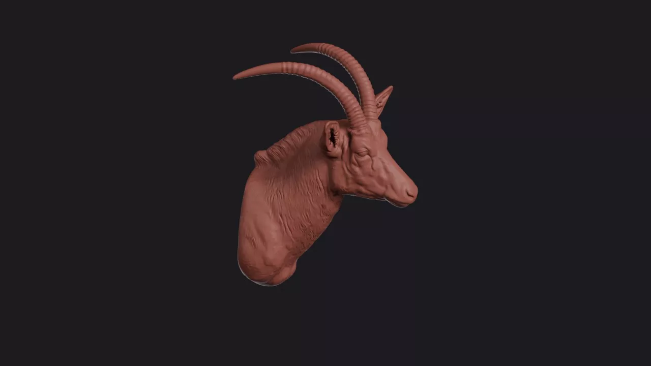 Roan Antelope Head Bust Wall Mount 3D print model