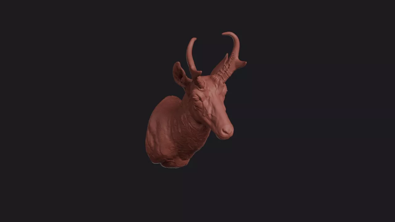 Pronghorn Head Bust Wall Mount 3D print model