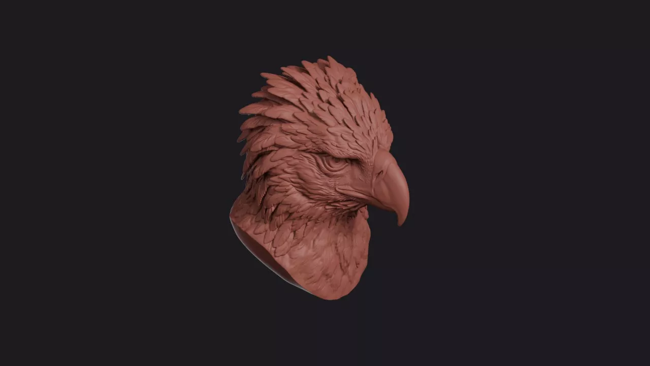 Philippine Eagle Head Bust Wall Mount 3D print model