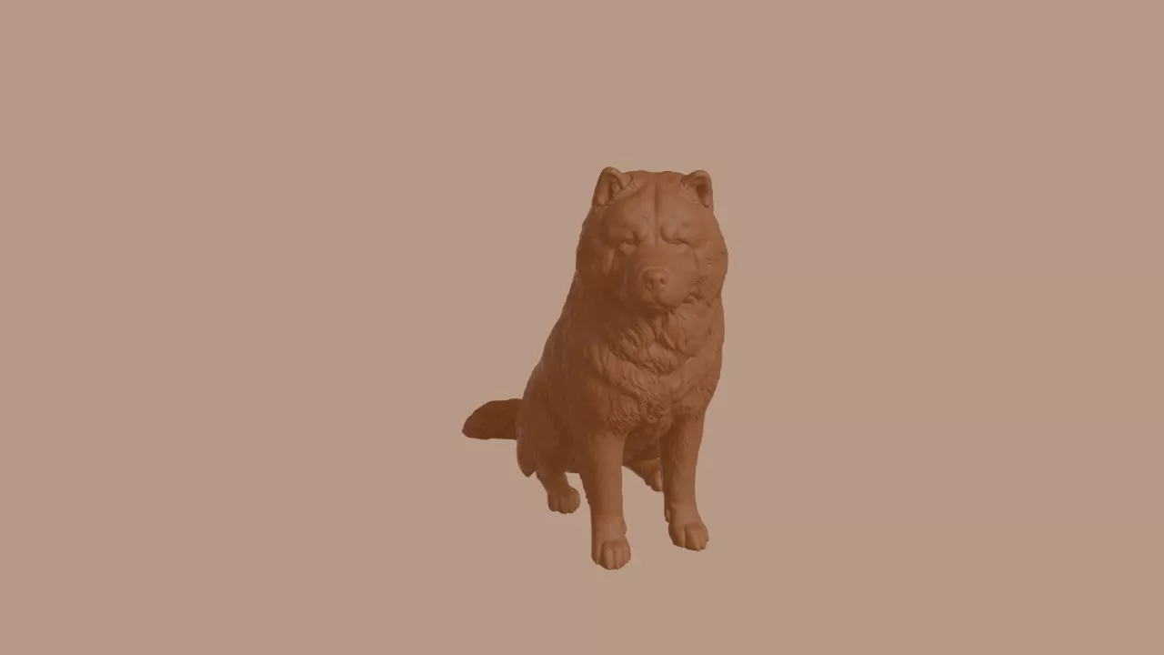 Chow Chow Dog in Sitting Pose 3D print model