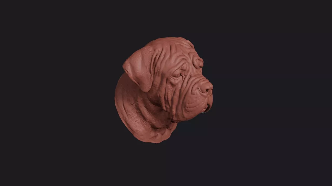 Neapolitan Mastiff Head Bust Wall Mount 3D print model