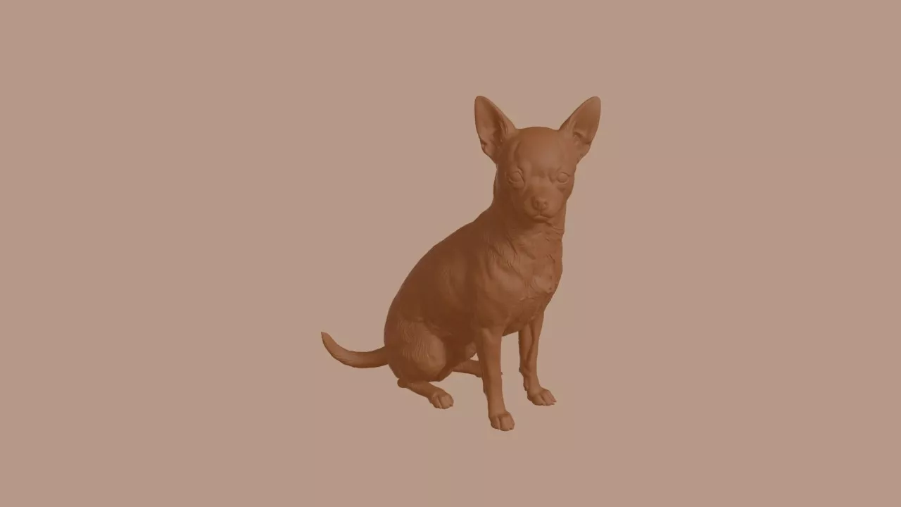 Chihuahua Dog in Sitting Pose 3D print model