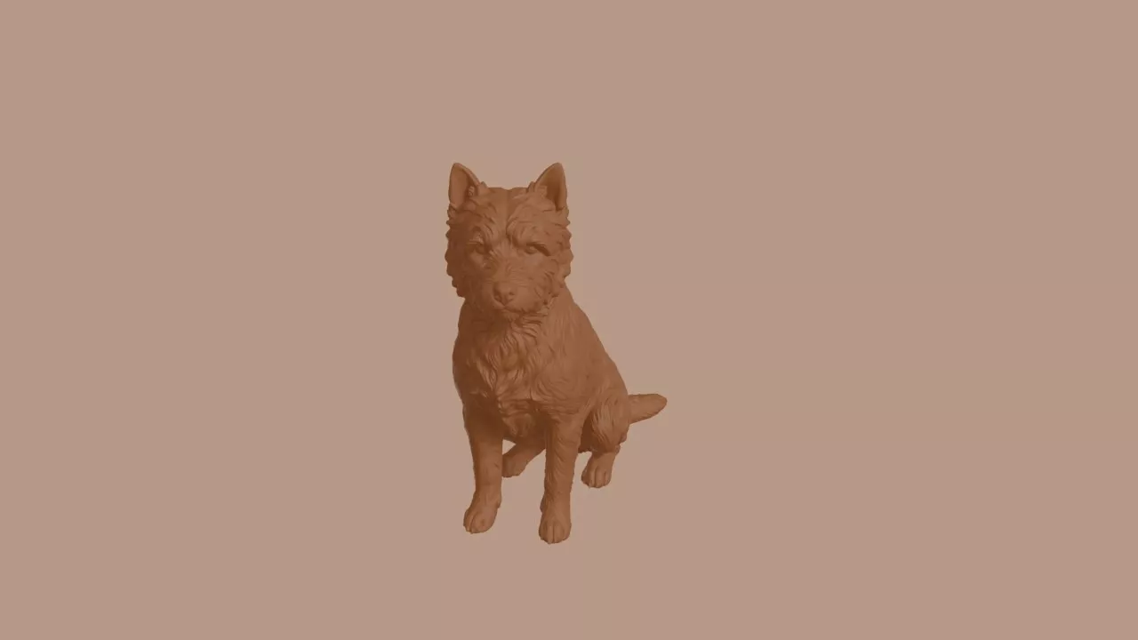 Cairn Terrier Dog in Sitting Pose 3D print model
