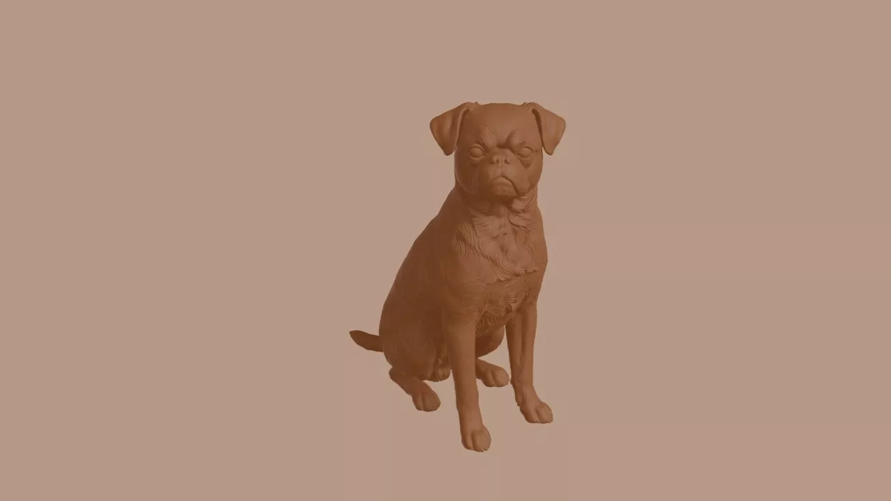 Brussels Griffon Dog in Sitting Pose 3D print model