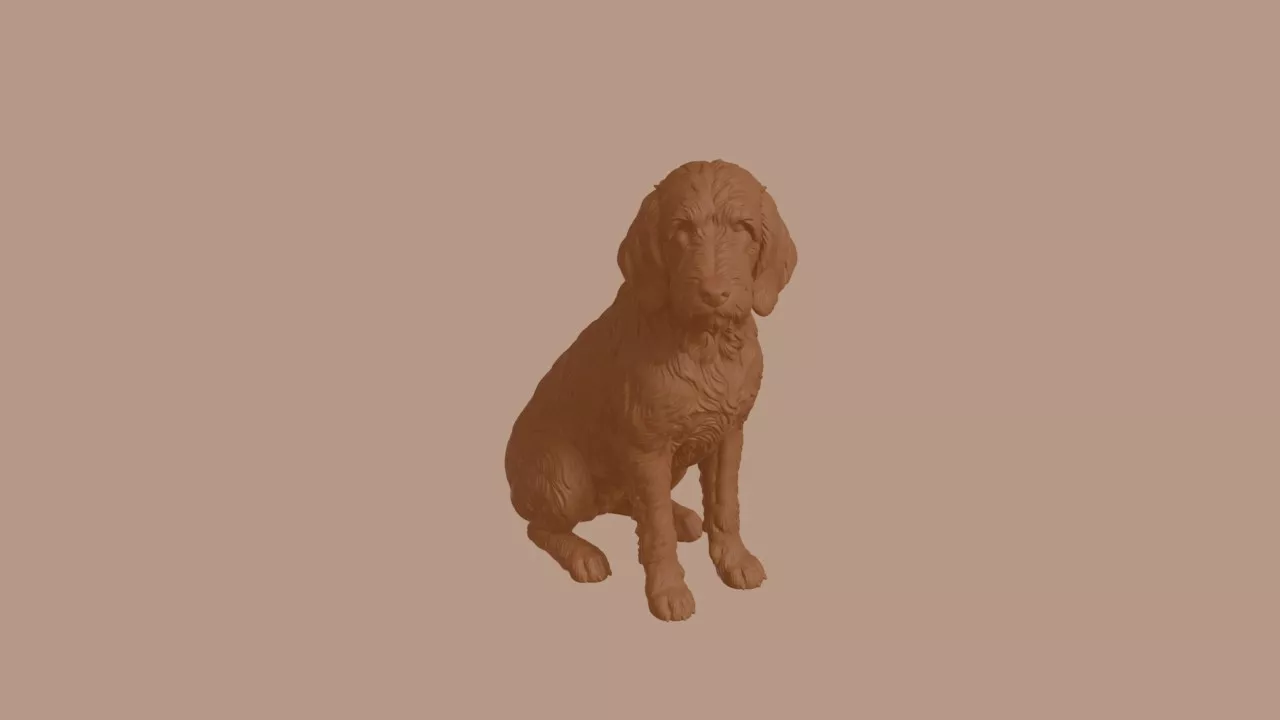 Briquet Griffon Vendeen Dog in Sitting Pose 3D print model