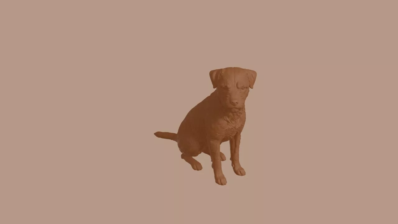 Border Terrier Dog in Sitting Pose 3D print model