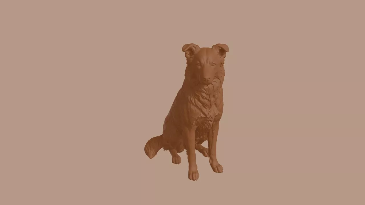 Border Collie Dog in Sitting Pose 3D print model