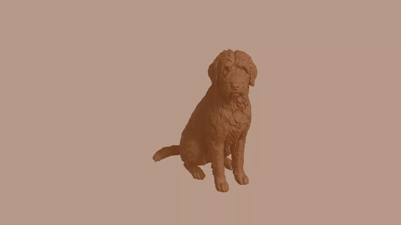 Bergamasco Sheepdog in Sitting Pose 3D print model