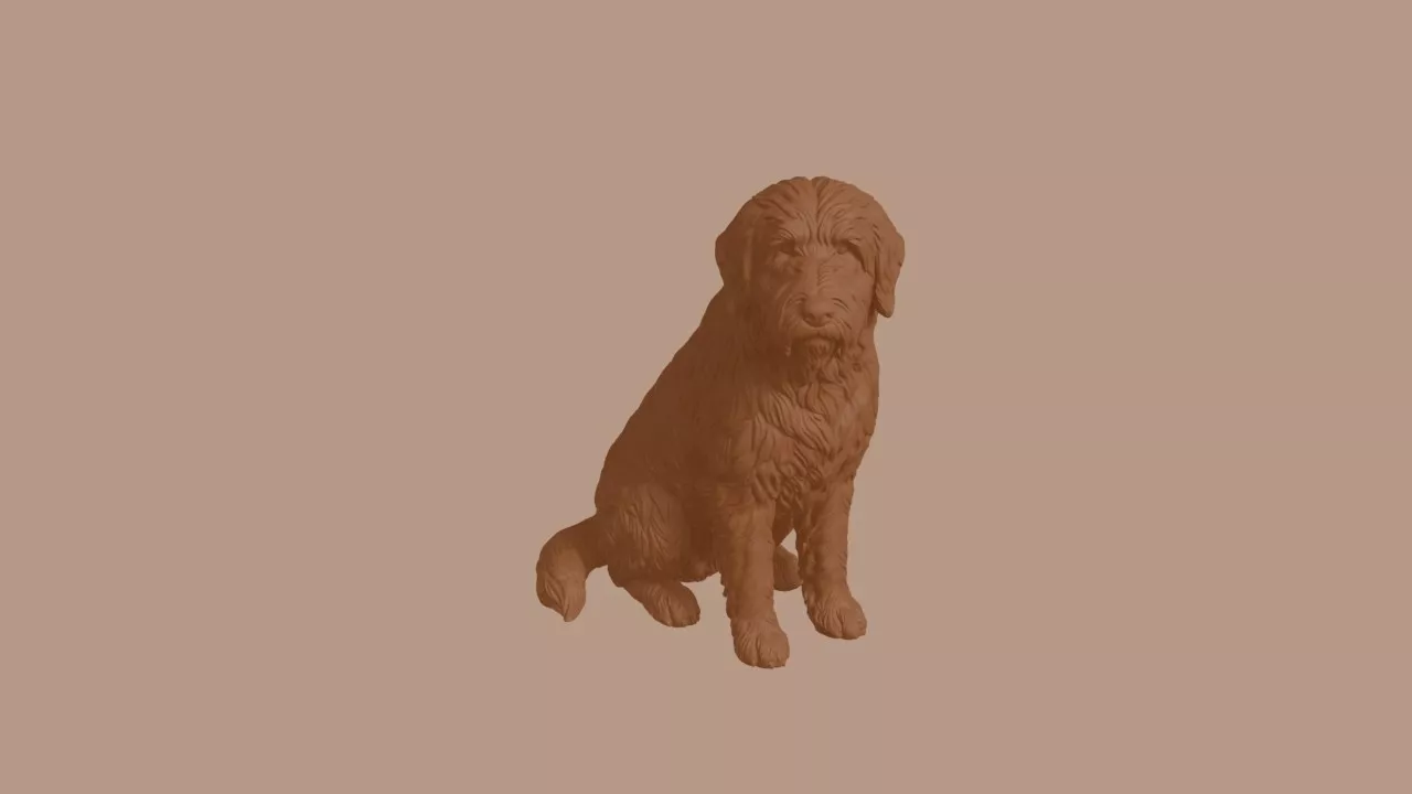 Bearded Collie Dog in Sitting Pose 3D print model