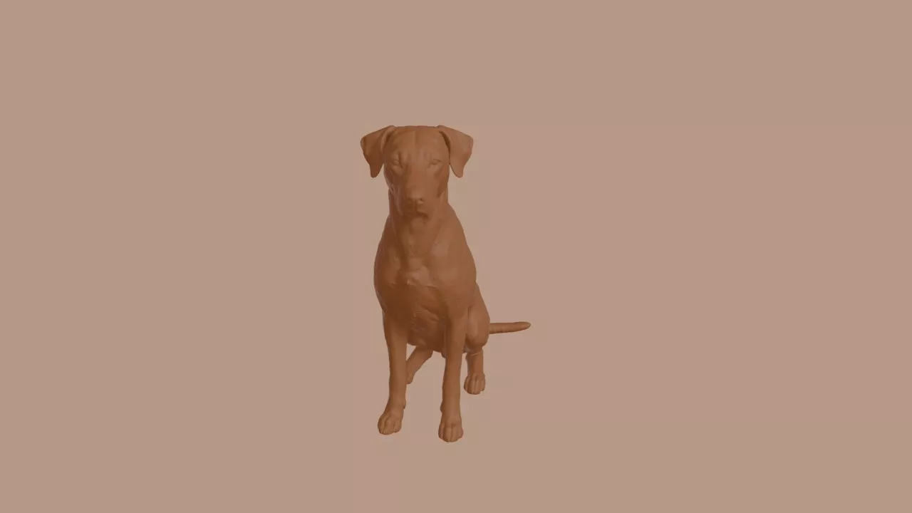 Austrian Pinscher Dog in Sitting Pose 3D print model