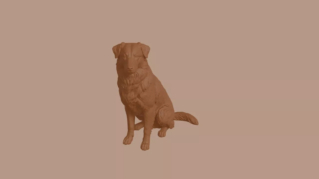 Australian Shepherd Dog in Sitting Pose 3D print model